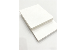 Thermoplastic honeycomb with non-woven